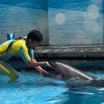 感動が人を動かすー江ノ島水族館編ー