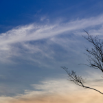 【フラットチャンネルに登壇！】 EQ(感情知性)を社会インフラに 〜感情の循環が、信頼と行動の基盤になる〜