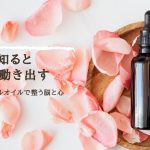 2026年スタート！心を整えて、行動を変える